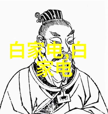 全自动包装机我的工作伙伴如何高效提升生产力