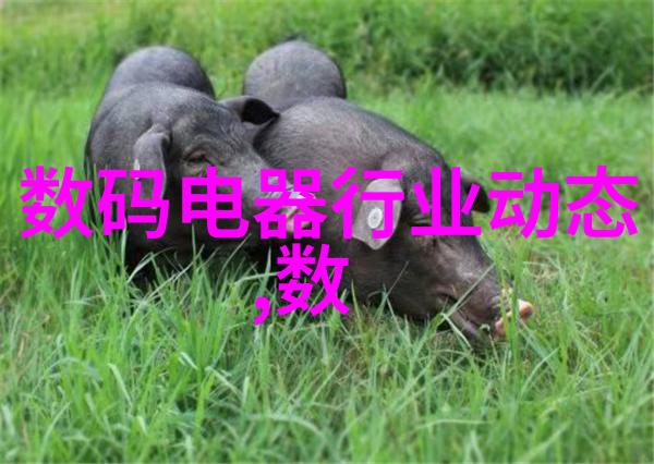创新应用场景解锁化工多功能机的潜力与前景
