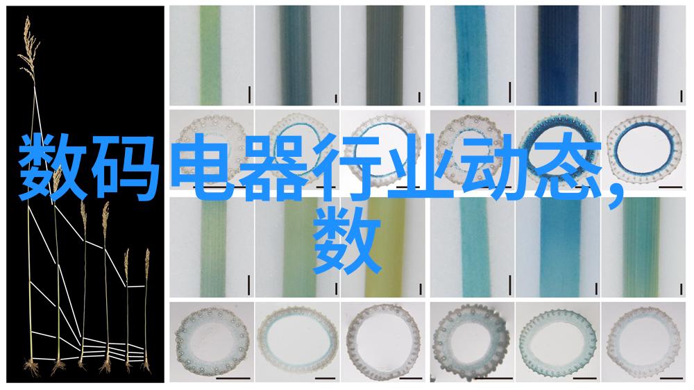 市政供水管道选择PE管PVC管与钢筋混凝土管的比较分析