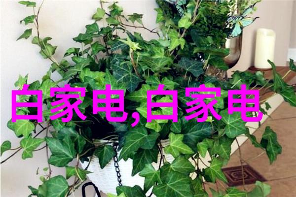 在家居装修中如何正确安装和使用自攻螺钉来固定墙壁或地板