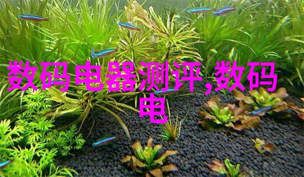 闪耀不锈钢小品汇点亮生活的微型明星
