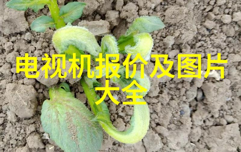 布袋除尘器的布袋厂家 - 高效清洁专利技术选择专业的布袋制造商保证设备运行稳定性