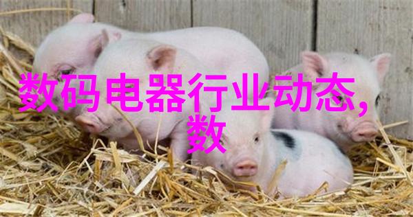 规整填料生产线打造高效稳定的建材供应链