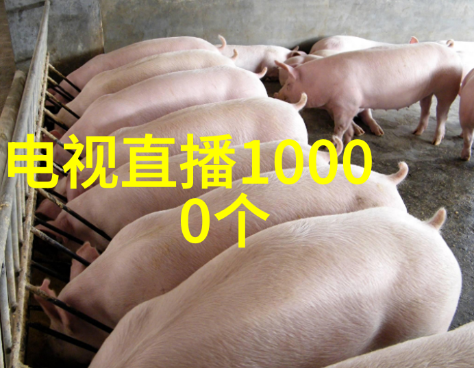bx500设备中填料参数调整对生产流程有什么影响
