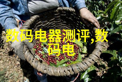 DIY还是请专业人士来清洗我的沙发更靠谱