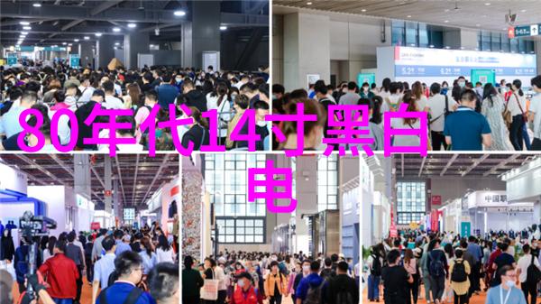 飞贼小兰花的传奇冒险探索她的盗贼世界