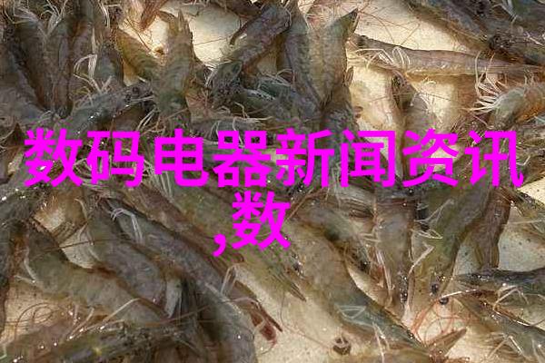 如何将风景与人像合体摄影构图的艺术编排