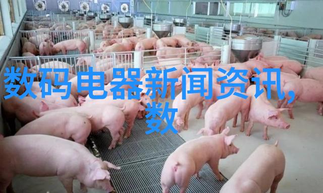 探索未来最新实验室选矿设备技术概览