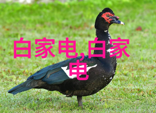布袋除尘器内部详细构造图-揭秘清洁大师的内部世界从设计到运行的全方位解析