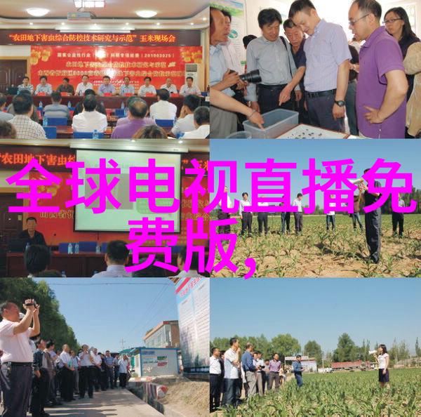 容声我是如何在家里创造一个温馨小角落的