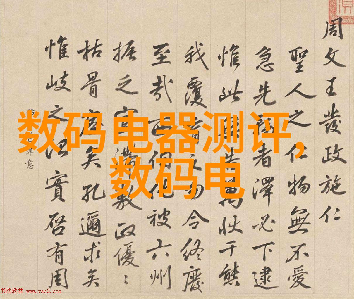 中国人民解放军专业技术人才网的发展历程与成就
