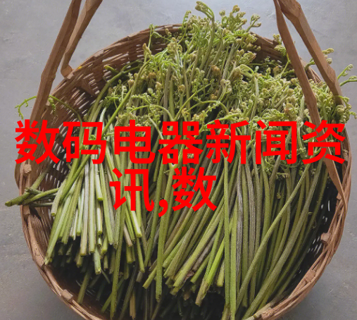 塞外奇侠传江湖纵横的孤狼