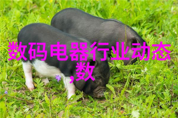 微波技术与传统热风烘烤相比大型微波干燥设备更节能效率高吗