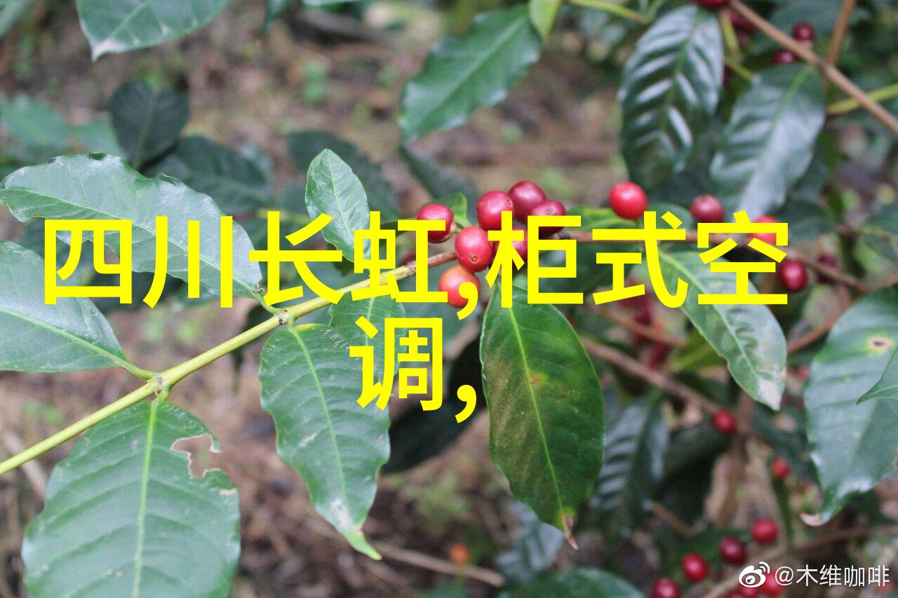 笑料无穷的引发剂从事故不断到笑话连连