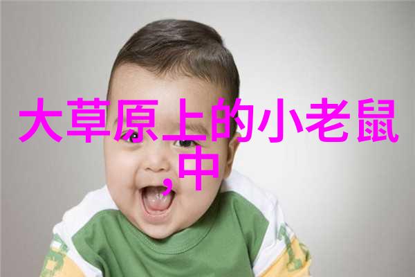 不锈钢市场价格最新信息我来告诉你涨停不止今日不锈钢最新报价你需要知道的每一个细节