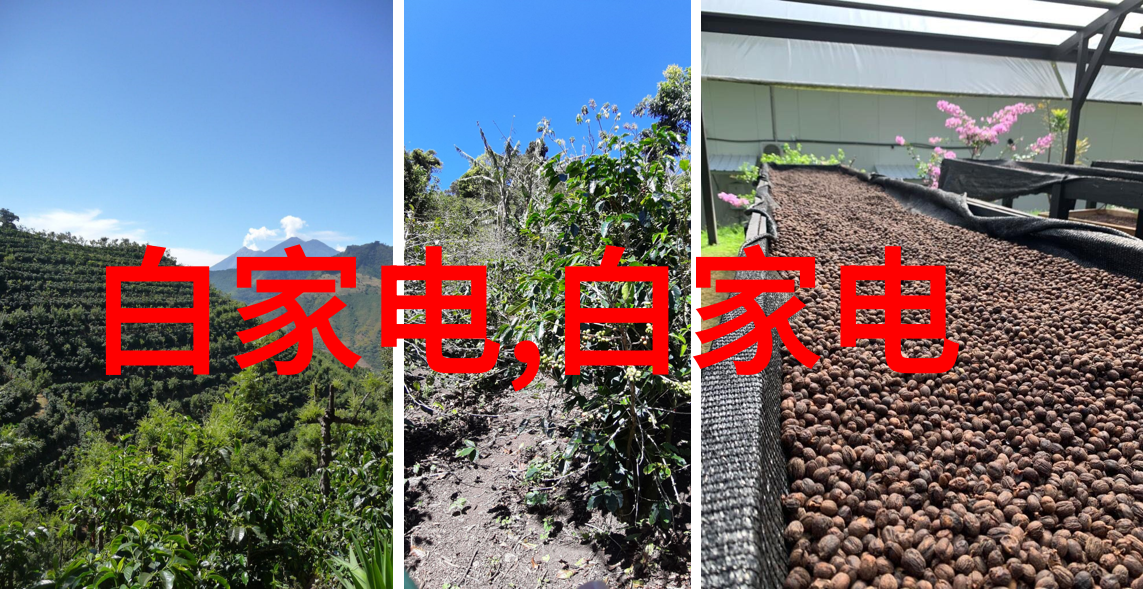 化学品种类概述从日常用品到工业原料的广泛应用