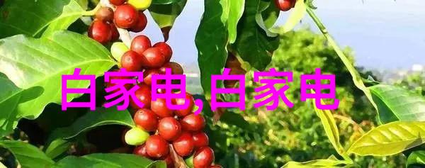 化工机械的应用与功能化工生产过程中的关键设备和系统