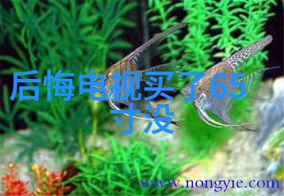 移轴镜头咱们一起探索视角的转变