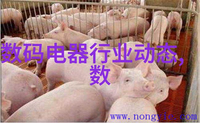 gea分离机在食品加工中扮演什么角色