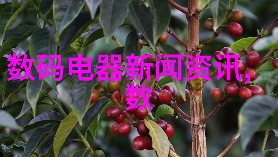 家居美学房屋装修中不可忽视的细节之谜
