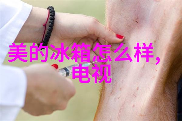 主题我来告诉你这款粉土机筛土一体机真的太神奇了
