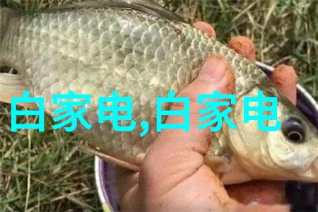 中国芯片巨擘引领军工技术新篇章