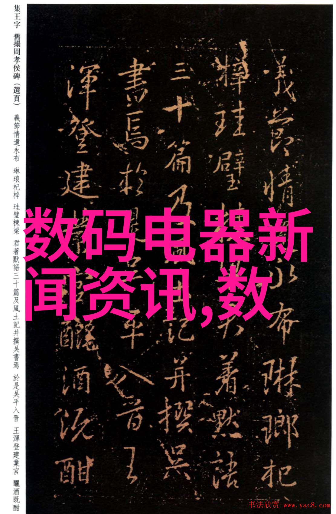 三瓣六瓣填料安装指南精确匹配与安全规范