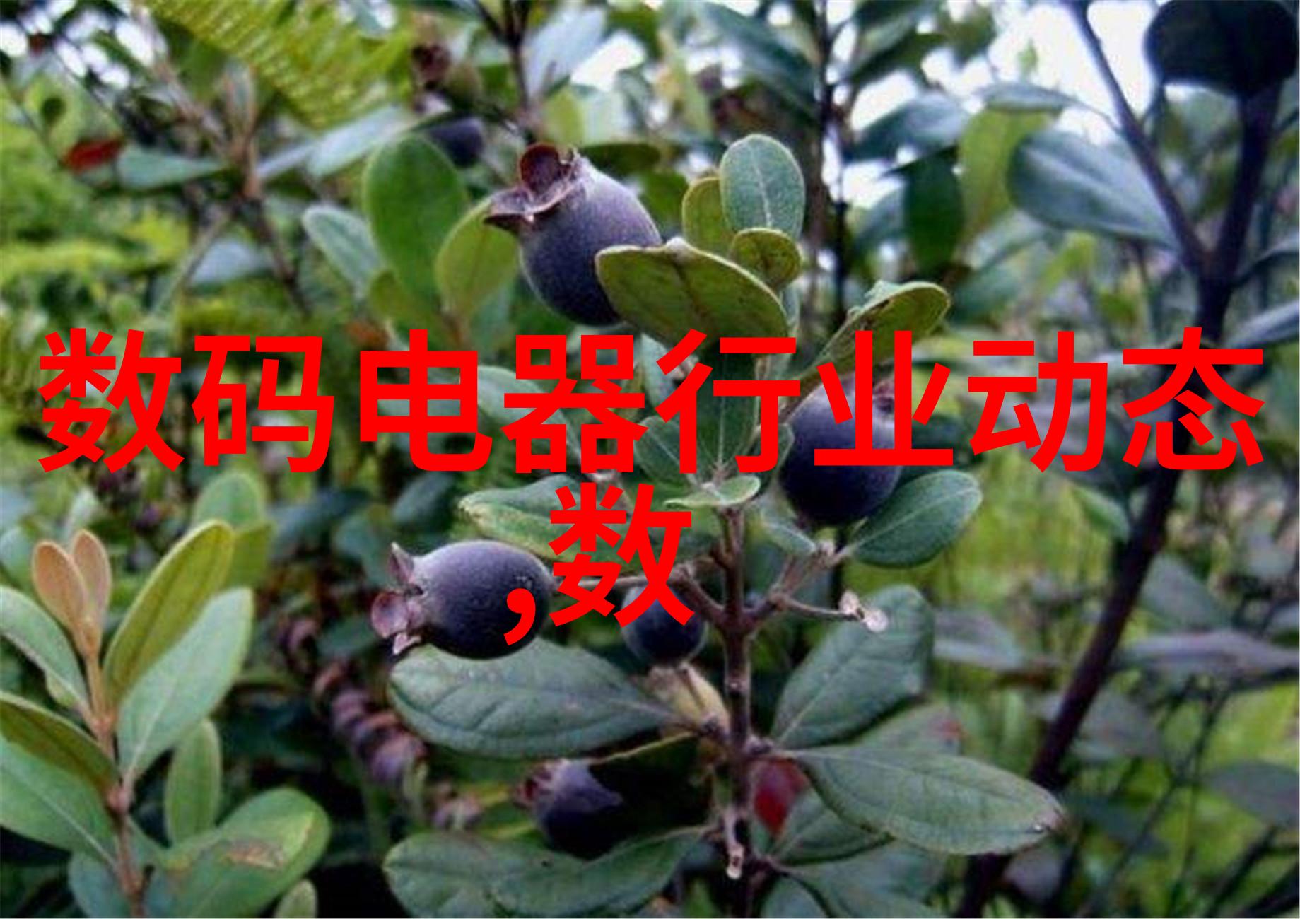 水份测定仪精确度高效的物质分析助手