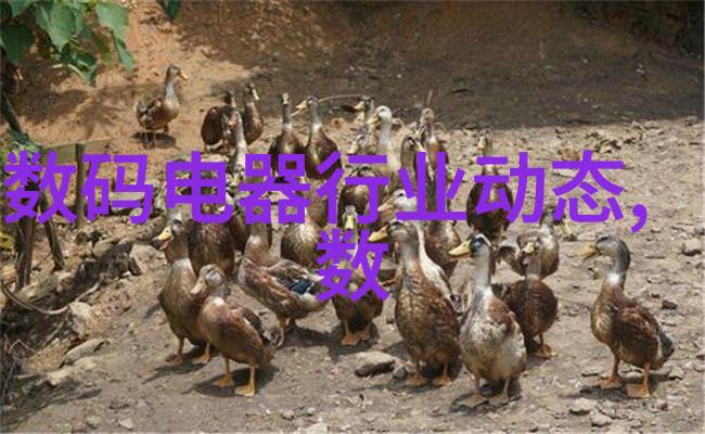 蜗居城市生活的微观世界