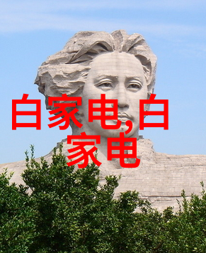 对于某些特殊行业如酒店医院等其高流量高强度使用下可能导致更多难以去除或重金属含量较高的问题他们应采取