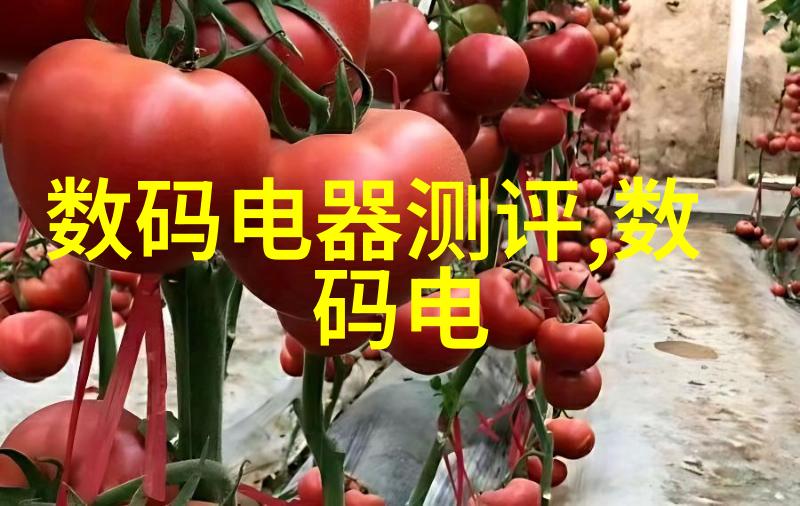 PVC管与PPR管的差异探究材料性能与应用场景对比分析