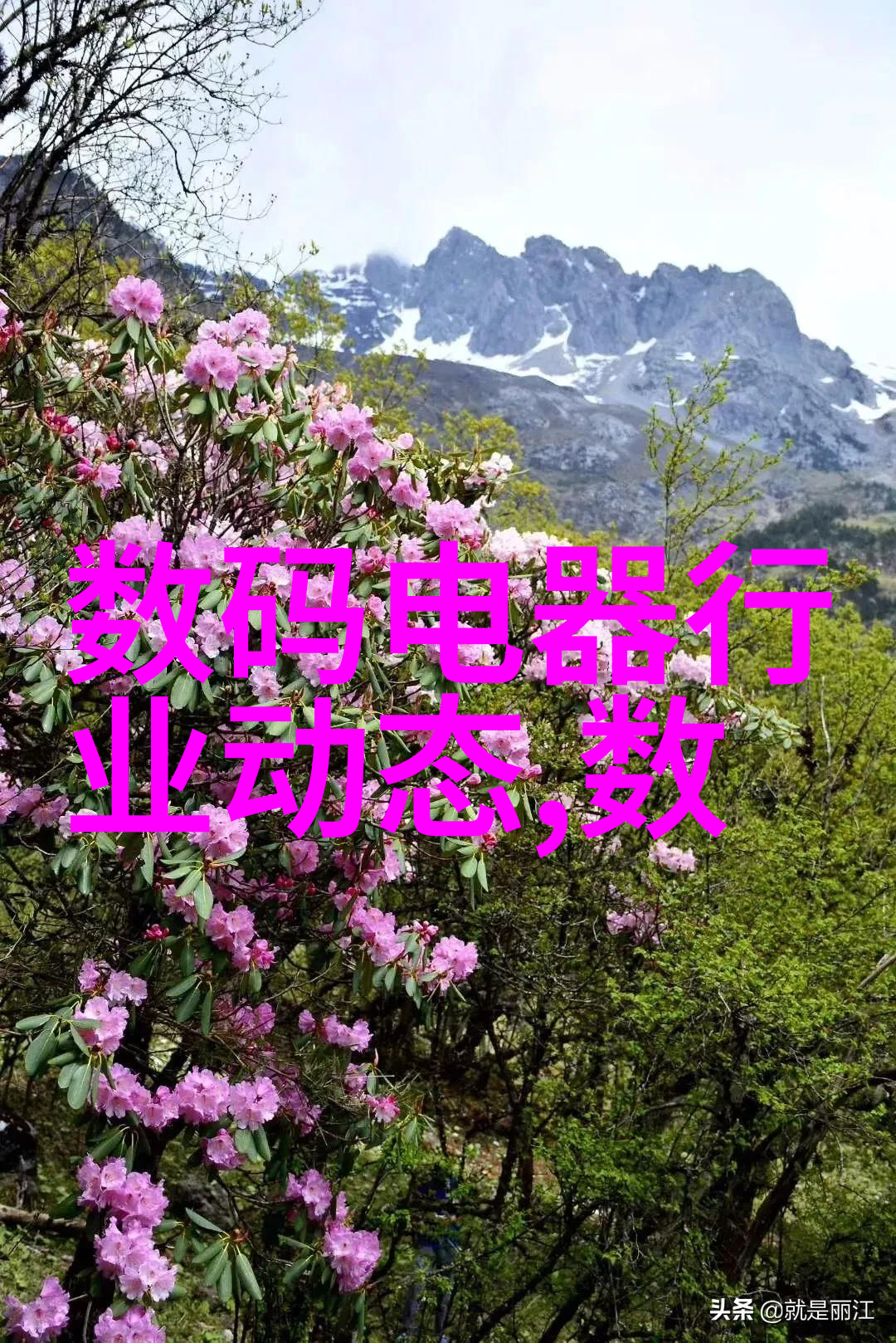 我和液压机的故事