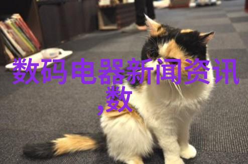 304不锈钢圆管价格表详解市场动态与采购指南