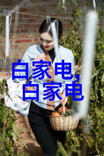 工业自动化中的振动料斗技术革新与应用实践