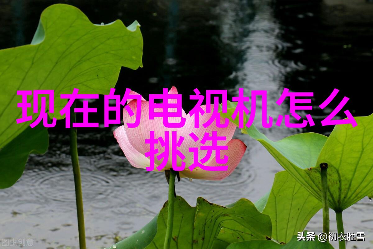 搅拌尺寸选择指南如何为你的500L搪瓷反应釜量身定制