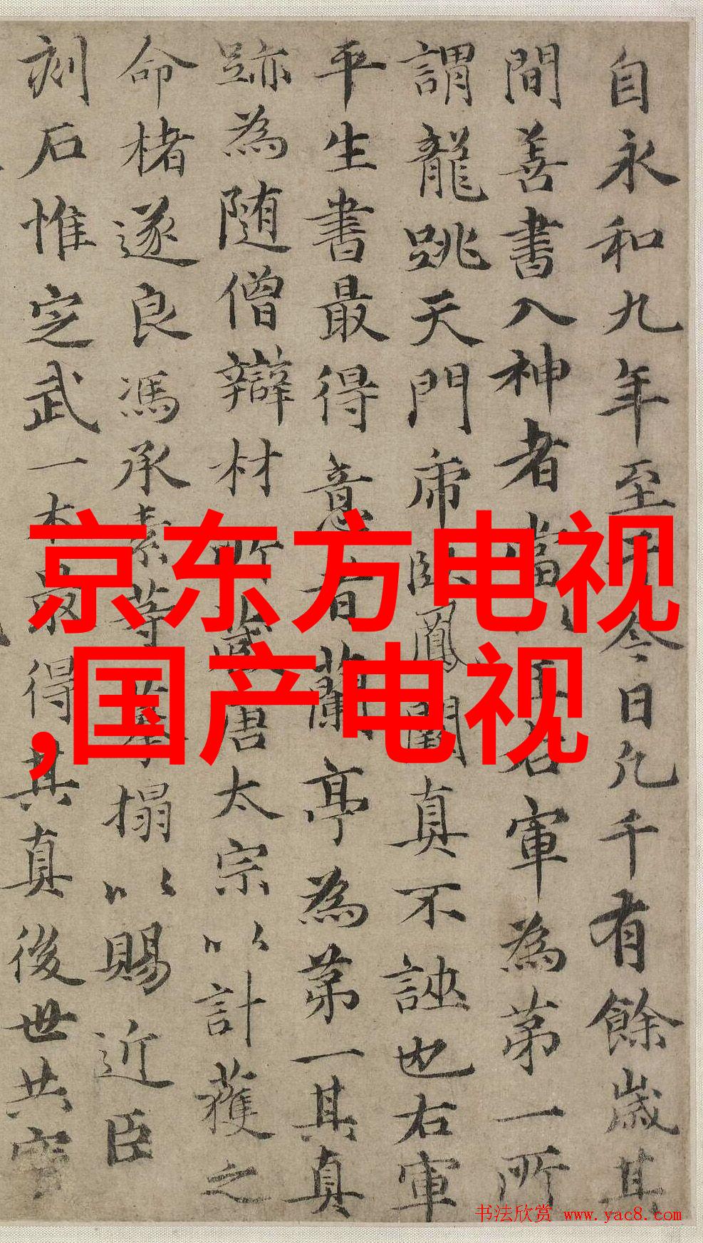 不锈钢填料生产厂家排名 - 锻造卓越全球最优秀的不锈钢填料生产厂家的排行榜