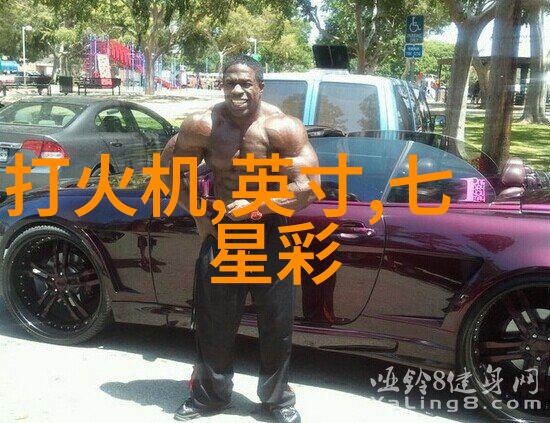 科举风云一探士人日常的艰辛与荣耀