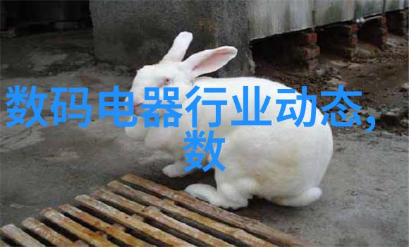 建筑设计规范-构筑美学与功能性的和谐共存