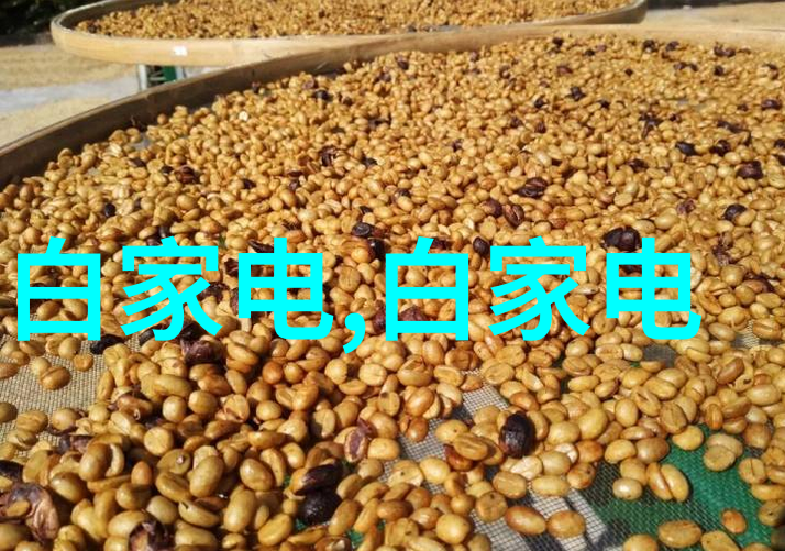 合肥财经职业学院-致远启航合肥财经职业学院的财经教育新篇章