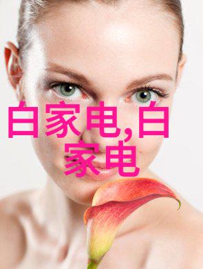 电动车配件商城绿色出行的智选伴侣