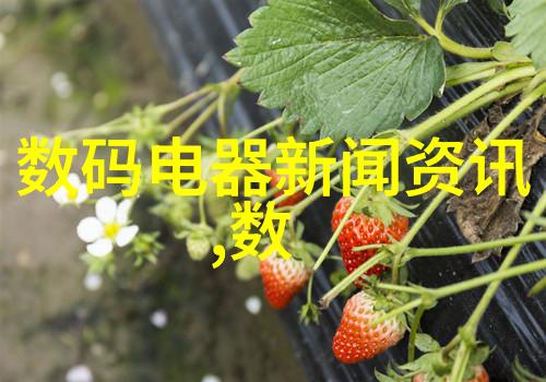 dn50金属环矩鞍填料高效DN50管道金属环形矩形鞍型填充物