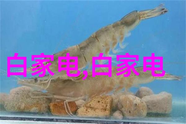 水质快速检测仪器精准守护每一滴清流的科技卫士