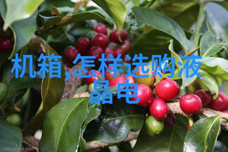 别墅的双面简约与奢华的交响篇