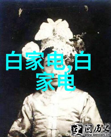 从W入门到高效使用电动牙刷的技巧与方法