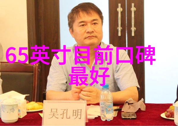 翩跹白羽小天鹅的梦想之翼