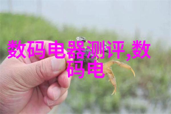 不锈钢喷头精密打造的清洁之选