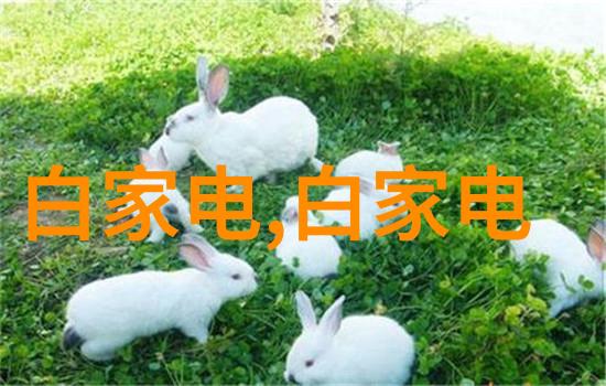 变频供水设备在现代城市水资源管理中的应用与前景探讨