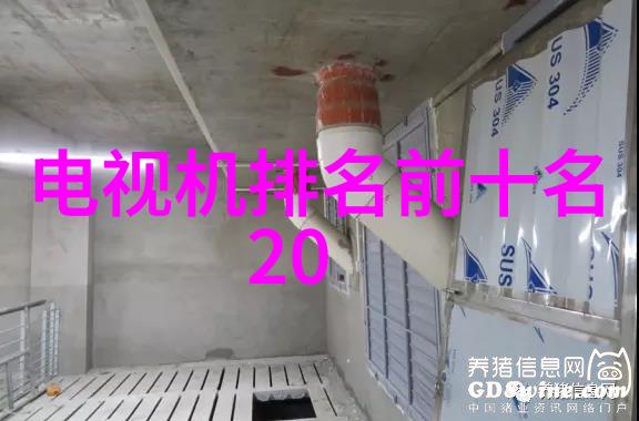 英文作为国际语言的重要性与挑战