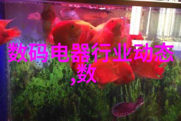 小型除尘器设备价格买家指南如何挑选性价比高的除尘机