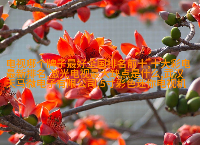 叶静剑